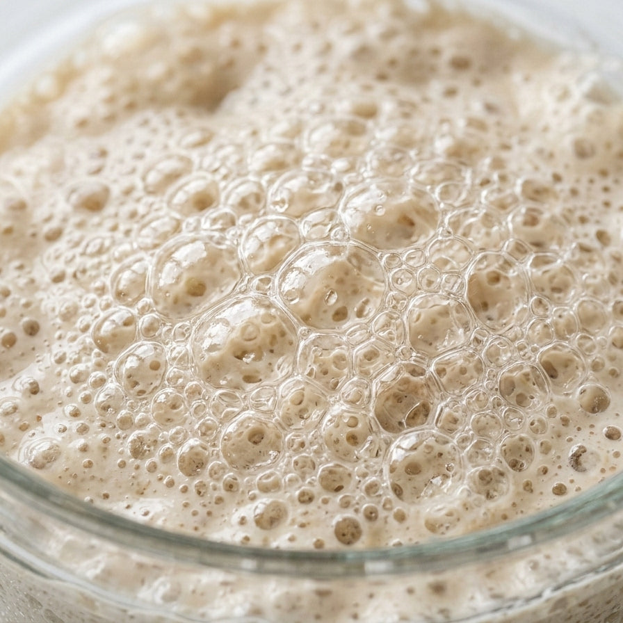 A microscopic-style close-up shot of bubbly, fermented sourdough dough, showing high vitality and intricate air pockets signifying healthy bacterial activity.