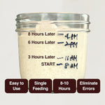 A glass jar showing the active fermentation process of a sourdough starter, with time markers handwritten on the glass to track its growth. The timeline illustrates the starter doubling in size from 8 AM to 4 PM, supported by labels highlighting its "Easy to Use," "Single Feeding," and "8-10 Hours" fermentation period to "Eliminate Errors."
